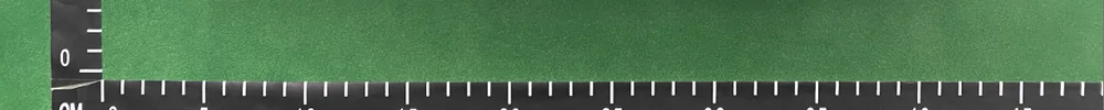 Close view of the centimetre ruler running along the edge of the inspection bench